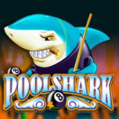 Pool Shark